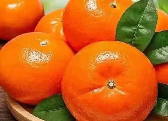植物百科|跟橘子很像的水果叫什么