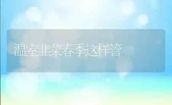 温室韭菜春季这样管 | 蔬菜种植