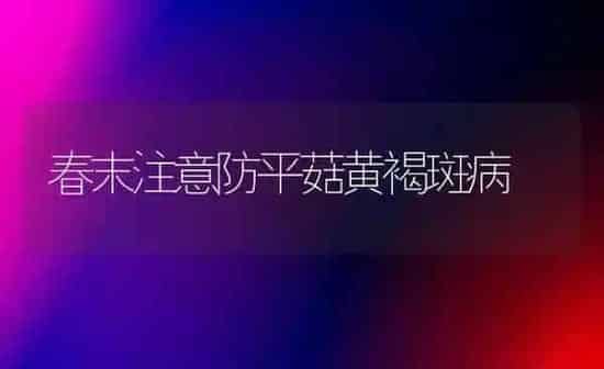 春末注意防平菇黄褐斑病 | 食用菌种植