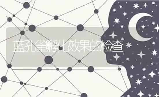 蓝孔雀孵化效果的检查 | 瓜果种植