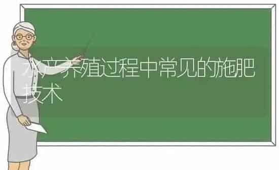 水产养殖过程中常见的施肥技术 | 种植肥料施肥