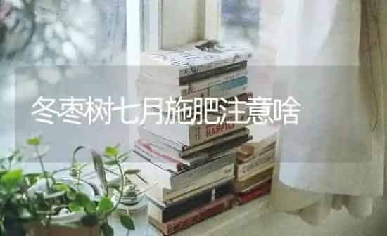 冬枣树七月施肥注意啥 | 种植肥料施肥
