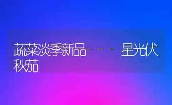 蔬菜淡季新品---星光伏秋茄 | 蔬菜种植