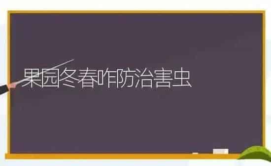果园冬春咋防治害虫 | 瓜果种植