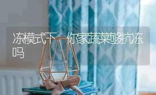 冻模式下 你家蔬菜够抗冻吗 | 蔬菜种植