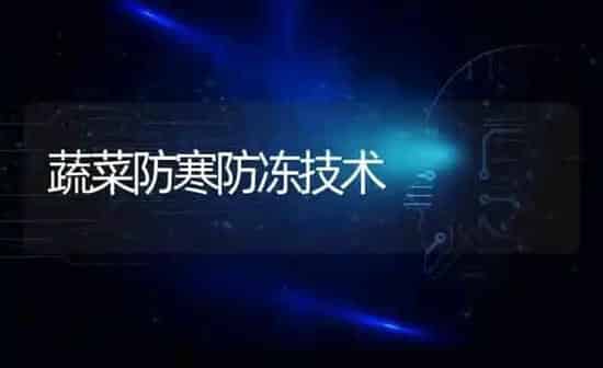 蔬菜防寒防冻技术 | 蔬菜种植
