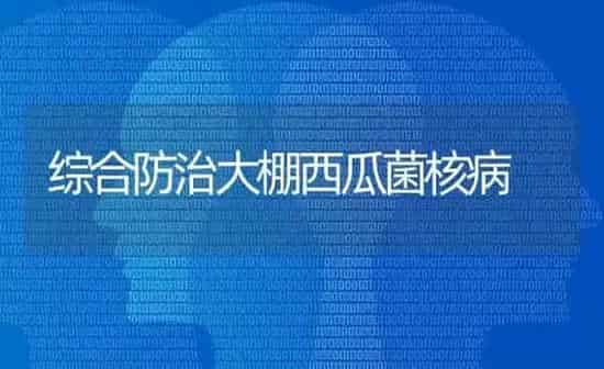 综合防治大棚西瓜菌核病 | 瓜果种植