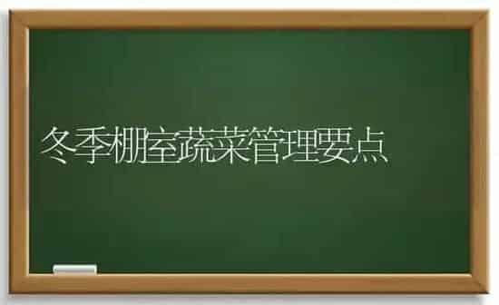 冬季棚室蔬菜管理要点 | 蔬菜种植