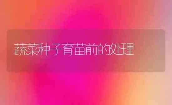 蔬菜种子育苗前的处理 | 蔬菜种植