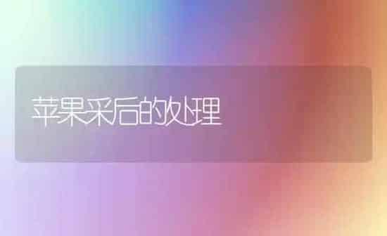 苹果采后的处理 | 瓜果种植