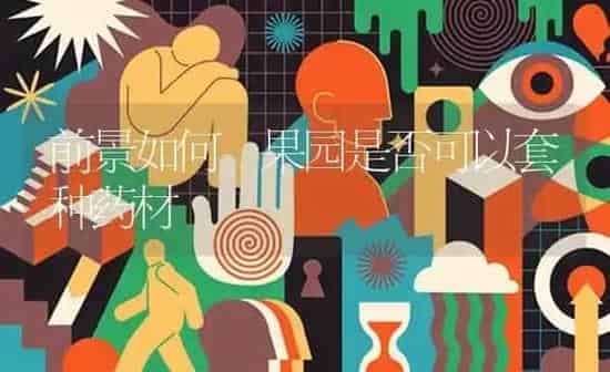 前景如何 果园是否可以套种药材 | 瓜果种植