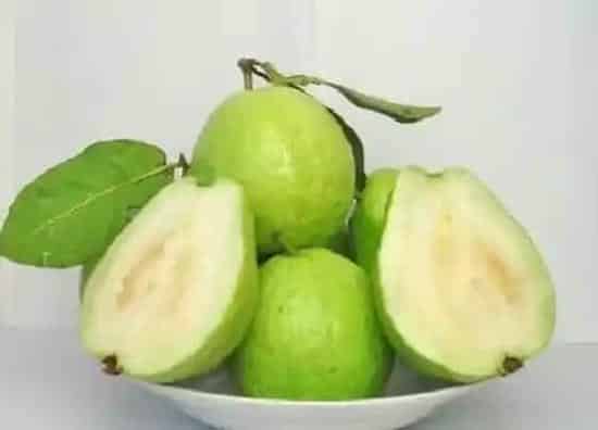 水果科普|香芭乐是什么水果