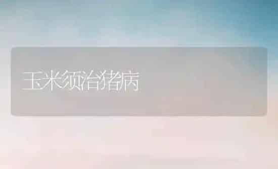 玉米须治猪病 | 粮油作物种植