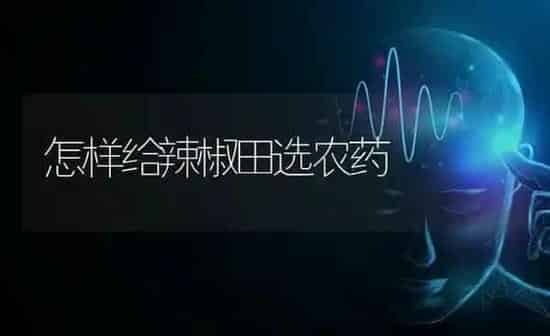怎样给辣椒田选农药 | 种植病虫害防治