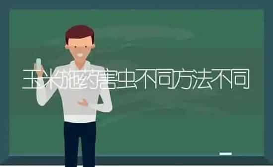 玉米施药害虫不同方法不同 | 粮油作物种植