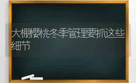大棚樱桃冬季管理要抓这些细节 | 瓜果种植