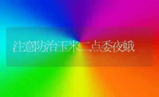 注意防治玉米二点委夜蛾 | 粮油作物种植
