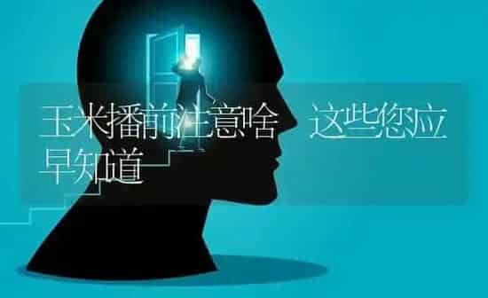 玉米播前注意啥 这些您应早知道 | 粮油作物种植