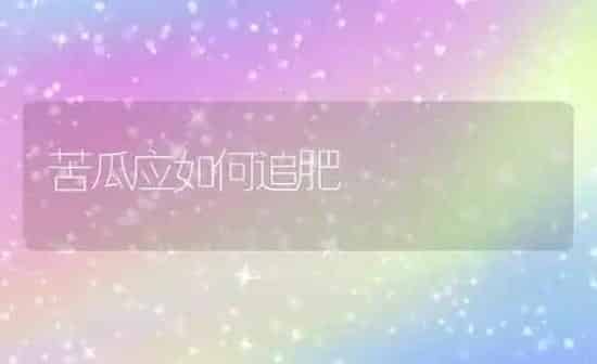 苦瓜应如何追肥 | 蔬菜种植