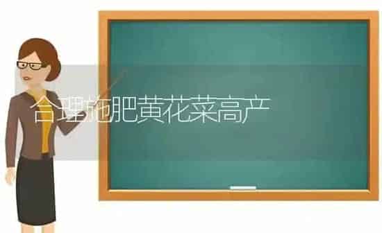 合理施肥黄花菜高产 | 种植肥料施肥