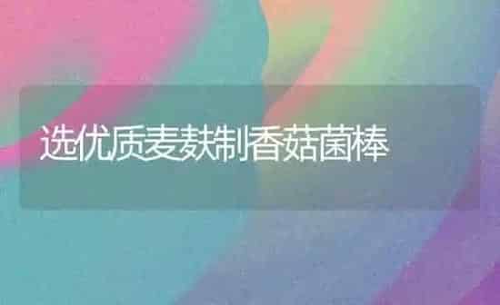 选优质麦麸制香菇菌棒 | 食用菌种植