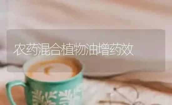 农药混合植物油增药效 | 种植病虫害防治
