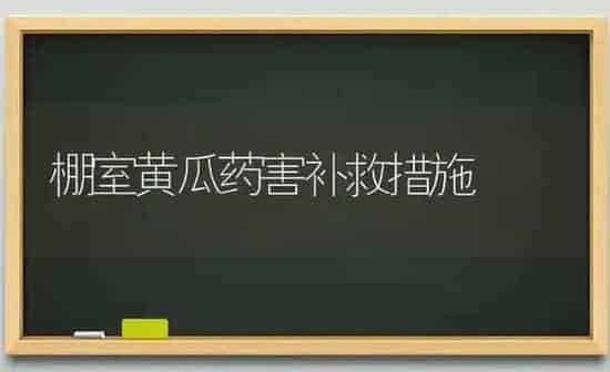 棚室黄瓜药害补救措施 | 蔬菜种植