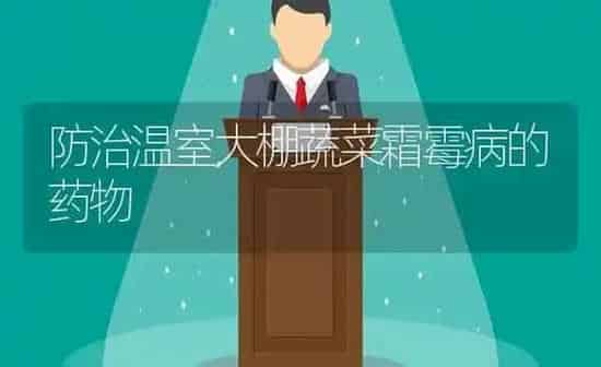 防治温室大棚蔬菜霜霉病的药物 | 蔬菜种植