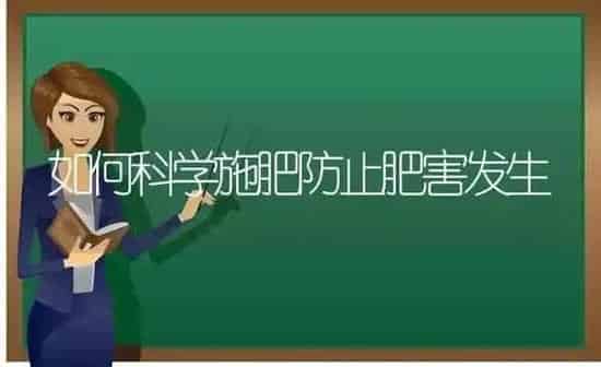 如何科学施肥防止肥害发生 | 种植肥料施肥