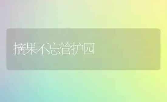 摘果不忘管护园 | 瓜果种植