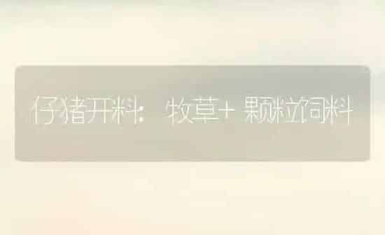 大棚蔬菜施肥这些肥料别用 | 蔬菜种植