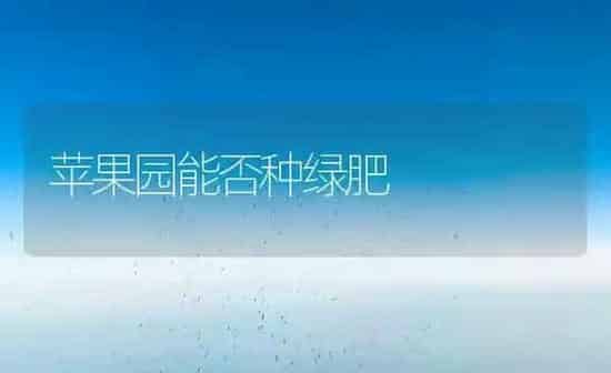 苹果园能否种绿肥 | 瓜果种植