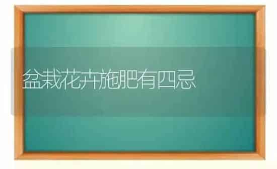 盆栽花卉施肥有四忌 | 种植肥料施肥