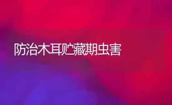 防治木耳贮藏期虫害 | 食用菌种植