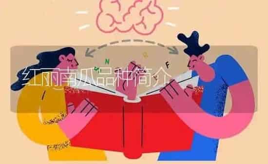红丽南瓜品种简介 | 蔬菜种植