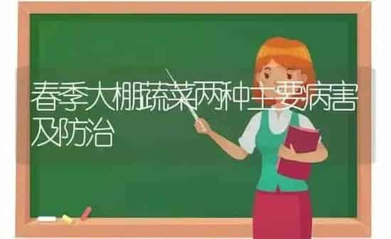 春季大棚蔬菜两种主要病害及防治 | 蔬菜种植