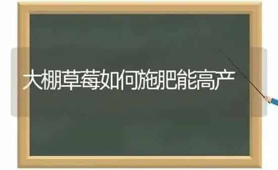 大棚草莓如何施肥能高产 | 种植肥料施肥