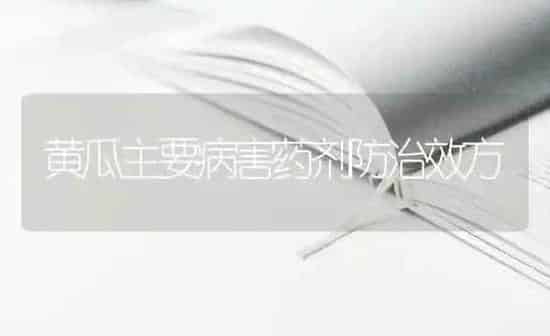 黄瓜主要病害药剂防治效方 | 蔬菜种植