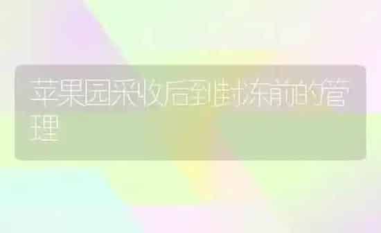 苹果园采收后到封冻前的管理 | 瓜果种植