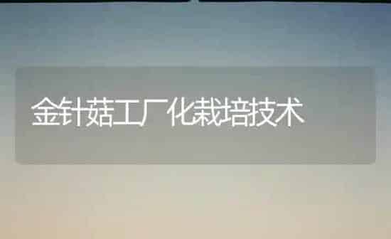 金针菇工厂化栽培技术 | 食用菌种植