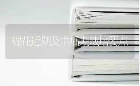 棉花近期及中后期栽培要点 | 粮油作物种植