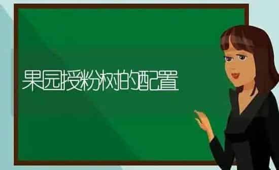 果园授粉树的配置 | 瓜果种植