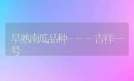 早熟南瓜品种---吉祥一号 | 蔬菜种植