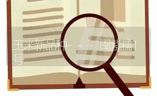 玉米新品种---闽紫糯1号 | 粮油作物种植