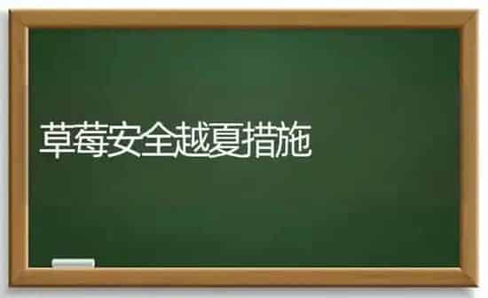 草莓安全越夏措施 | 瓜果种植