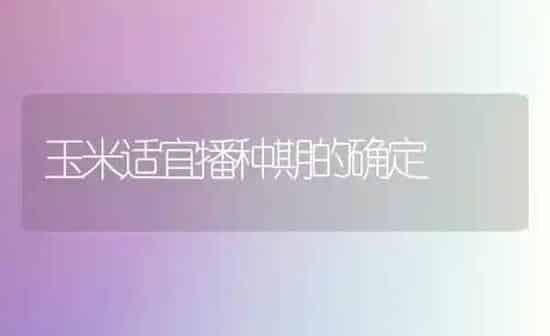 玉米适宜播种期的确定 | 粮油作物种植