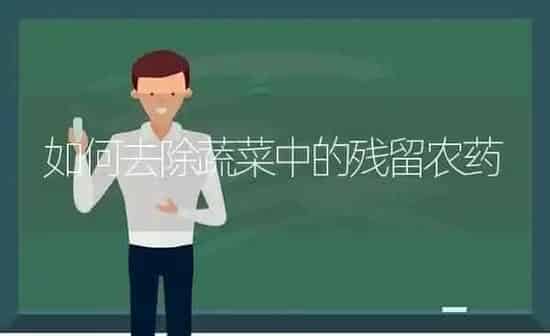 如何去除蔬菜中的残留农药 | 蔬菜种植
