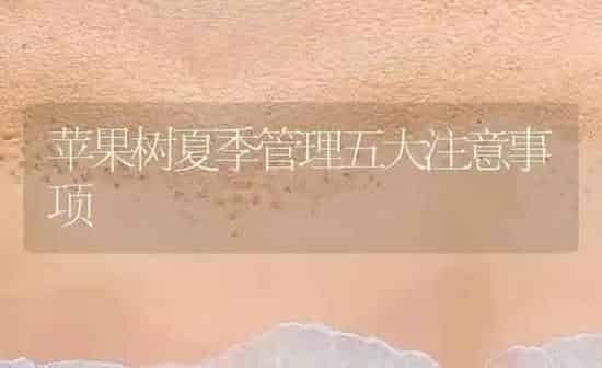 苹果树夏季管理五大注意事项 | 瓜果种植