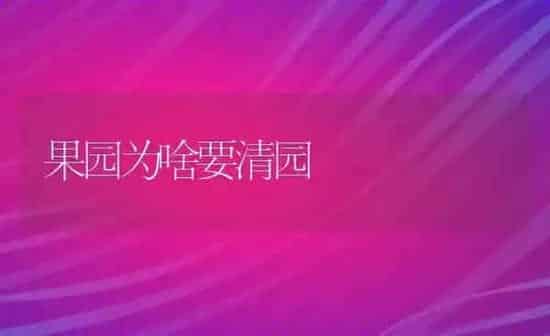 果园为啥要清园 | 瓜果种植