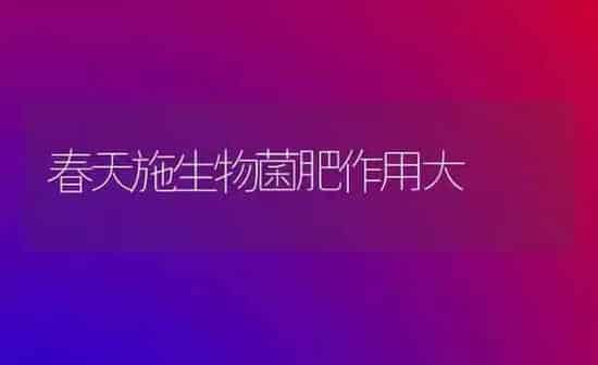 种植药材须要冷静 | 药材种植